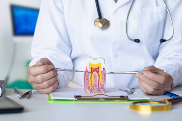 Best Chipped Tooth Repair Near Me  in Castalia, OH